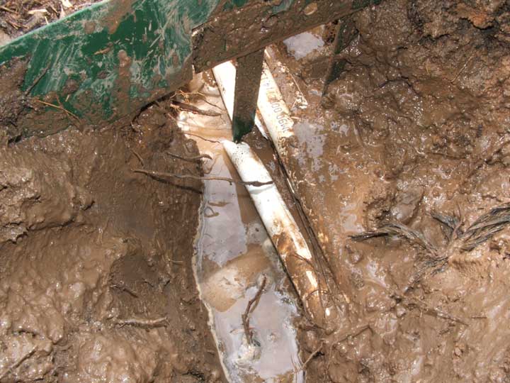 Landscape-Border-Stake---WE.jpg